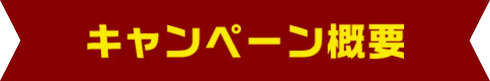 キャンペーン概要