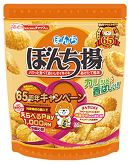 100gぼんち揚 チャック付