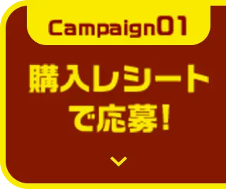 キャンペーン01へ