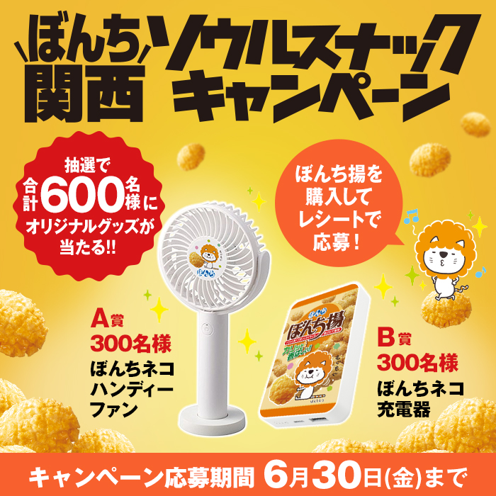 ぼんち揚げ様専用ページ